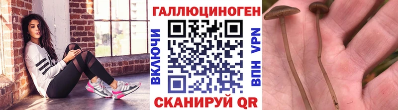 Псилоцибиновые грибы Magic Shrooms мега как зайти Ясный